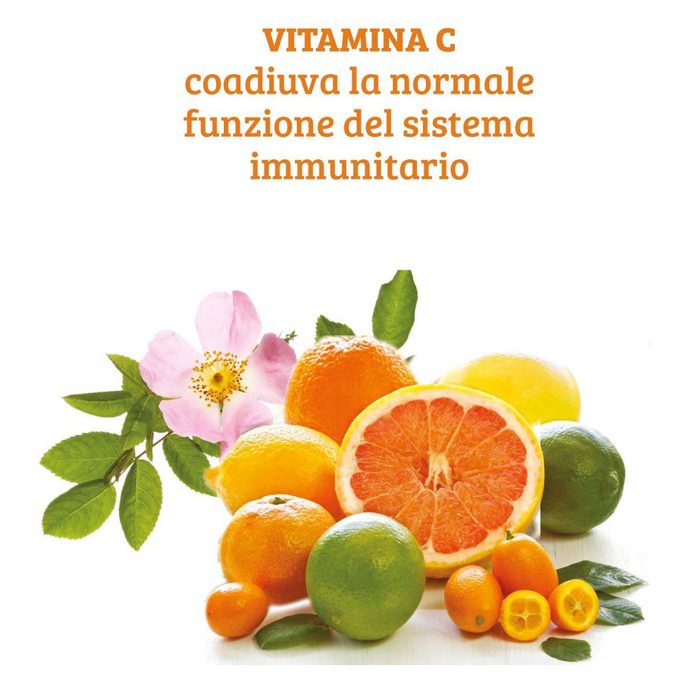 Früchte und Blüten, die Vitamin C symbolisieren.