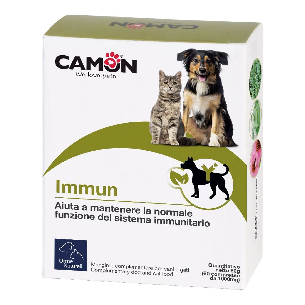 Immun 60Cpr 60 St Tabletten