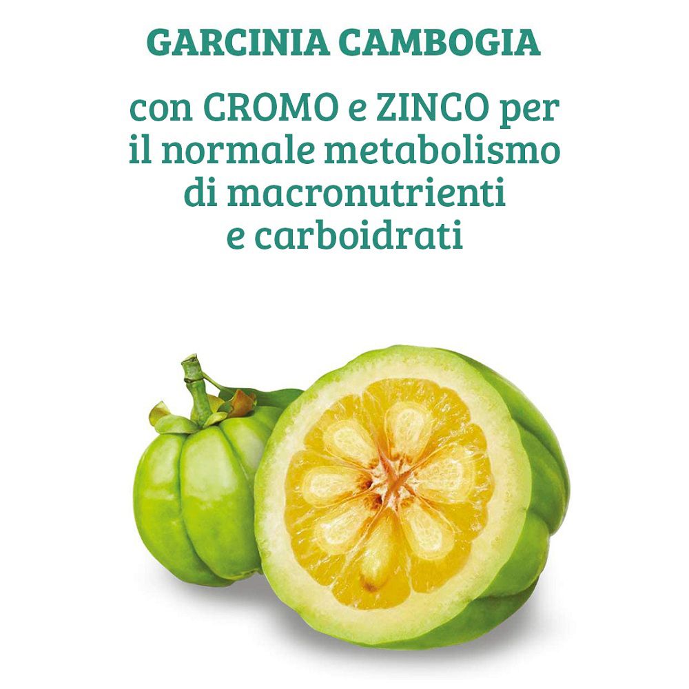 Garcinia Cambogia Frucht, halbiert, mit Text über Chrom und Zink für den Stoffwechsel.