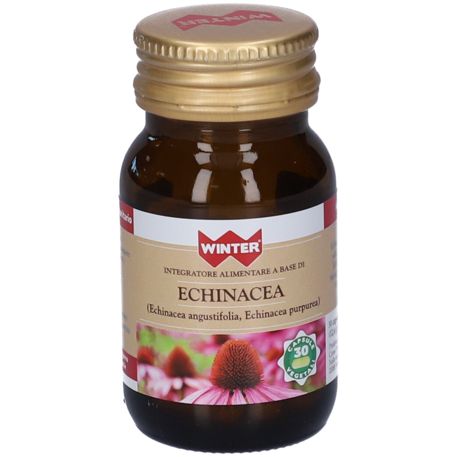 Winter Echinacea Integratore Per Difese Immunitarie 30 Capsule - Immagine 4