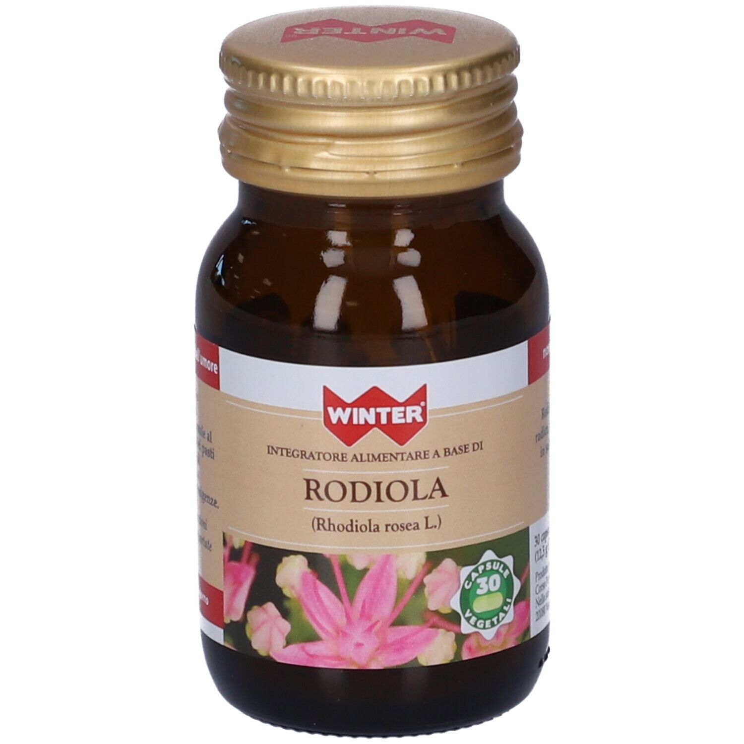 Winter Rodiola Capsule