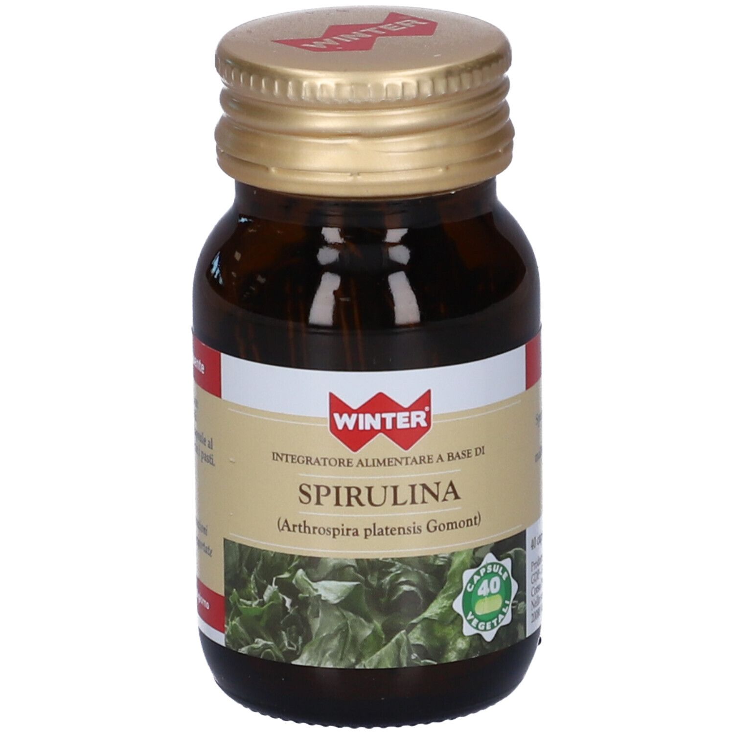 Winter Spirulina Capsule 22,4 G Bambino