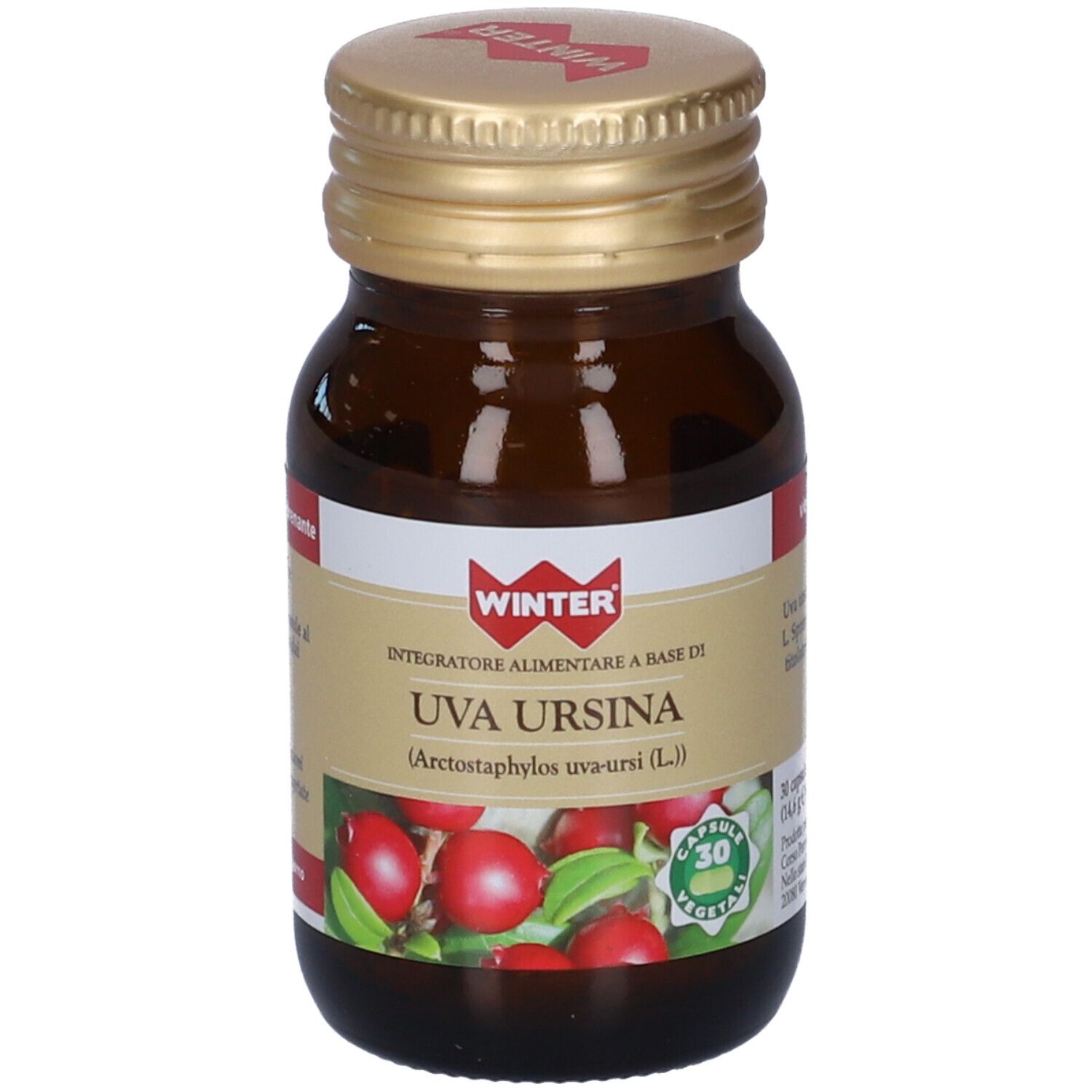 Winter Uva Ursina Capsule 14,6 G Bambino