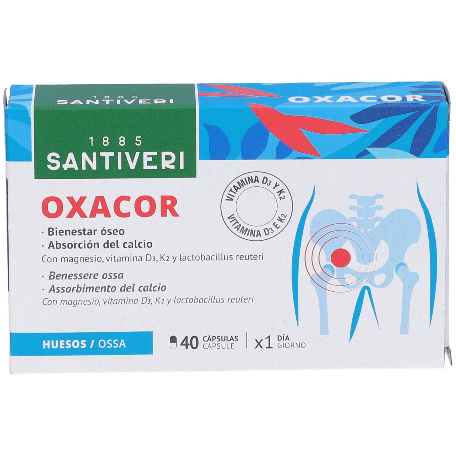 OXACOR K2-Verpackung. Grün-weiße Schachtel mit Produktnamen und Logo. Enthält 40 Kapseln. Illustration des menschlichen Skeletts.