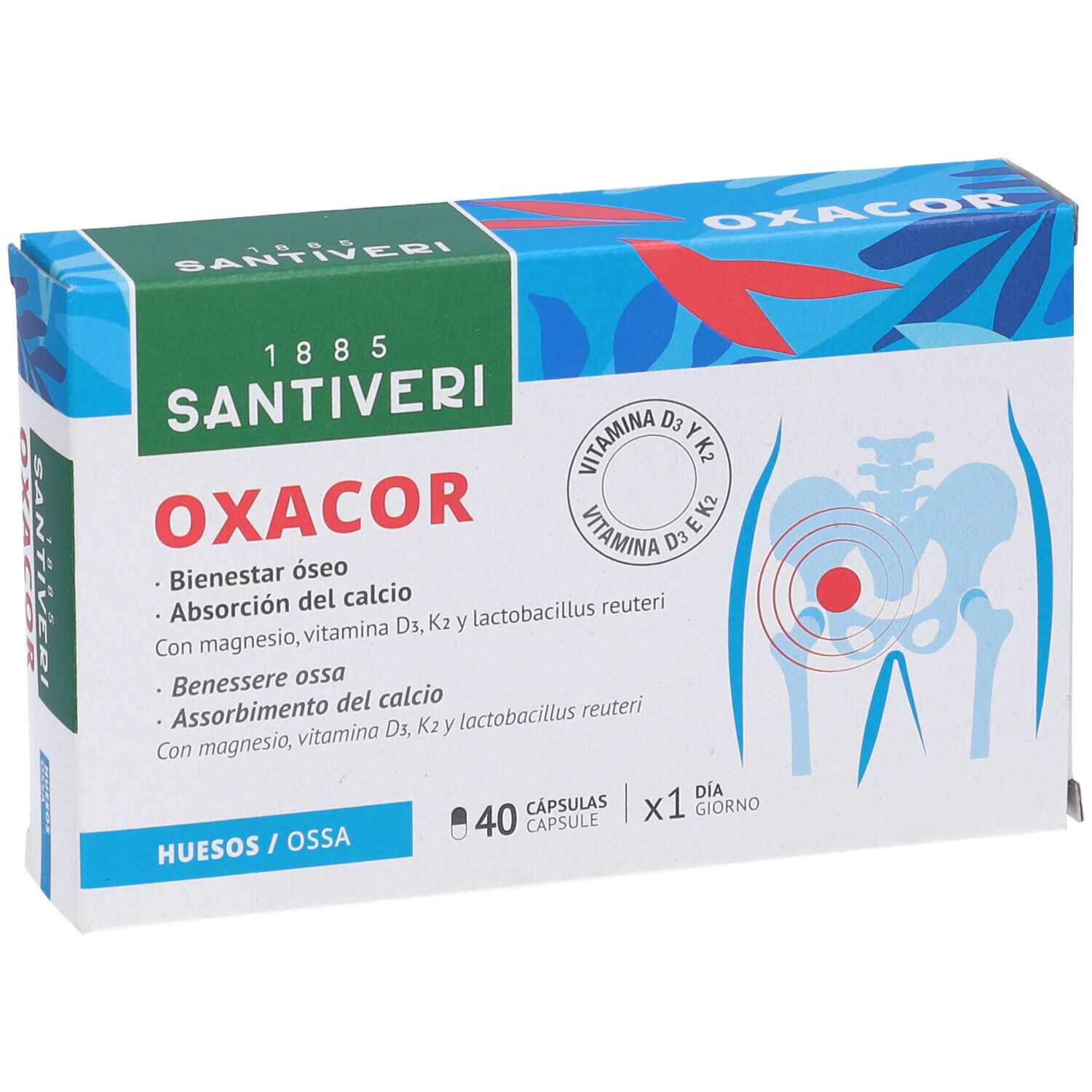 OXACOR K2-Verpackung. Grün-weiße Schachtel mit Produktnamen und Logo. Enthält 40 Kapseln. Illustration des menschlichen Skeletts.