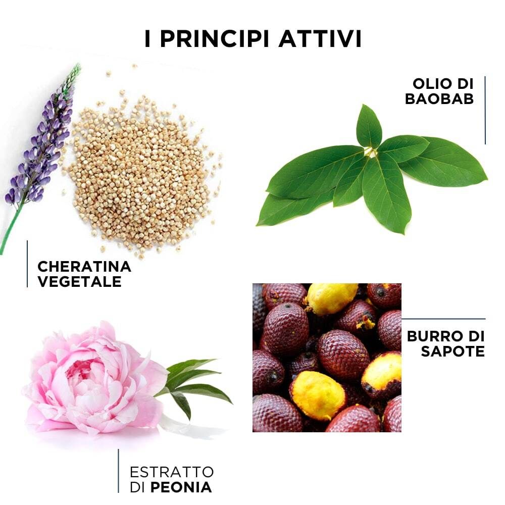 Illustrazione degli ingredienti: piante, semi, fiori e frutti, con didascalie in italiano.