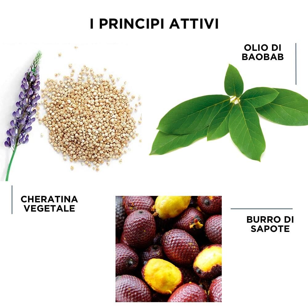 Illustrazione degli ingredienti: cheratina vegetale, olio di baobab e burro di sapote. Ingredienti per la cura dei capelli.