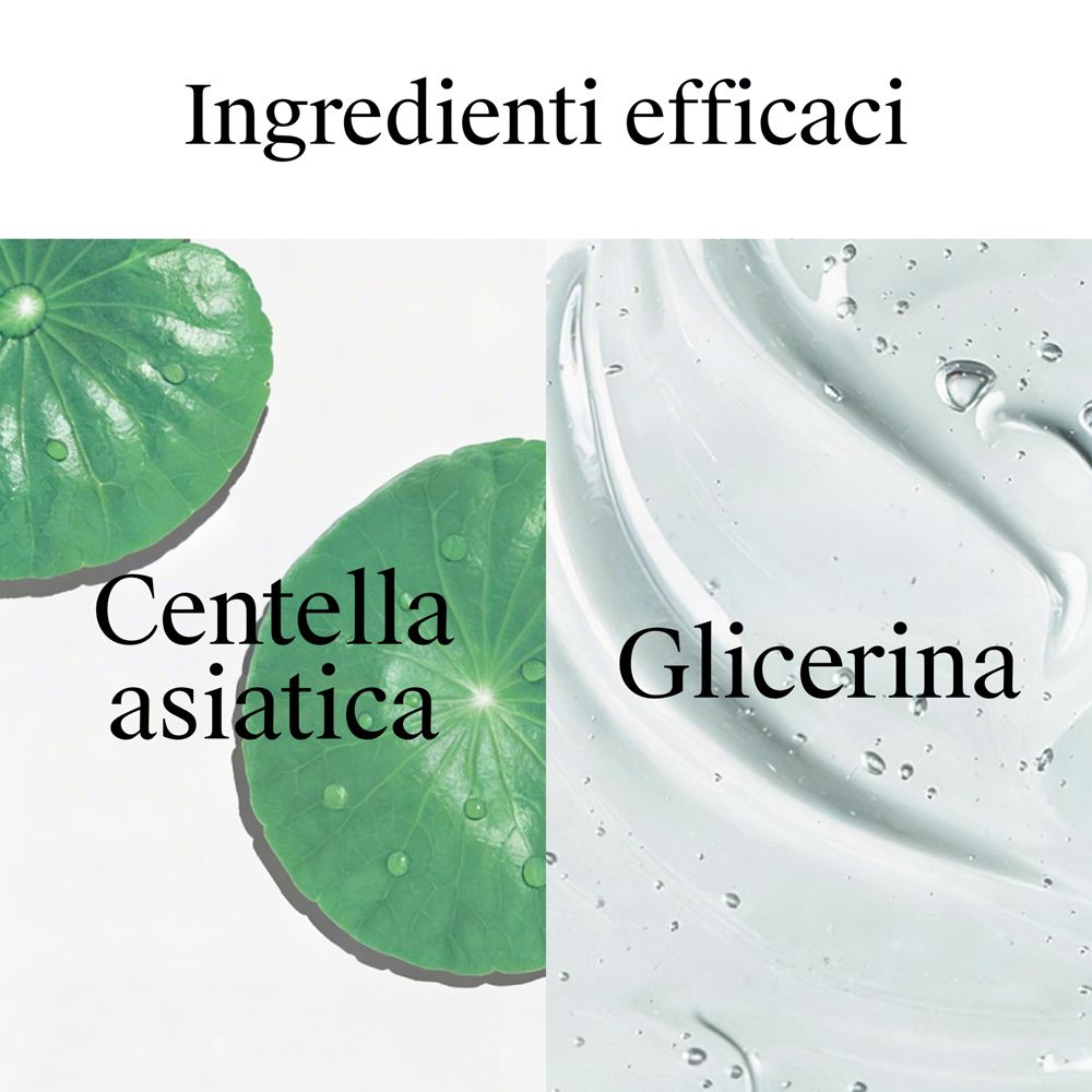Abbildung der Centella Asiatica. Text: Eine potente antioxidative Pflanze, seit Jahrhunderten verwendet.