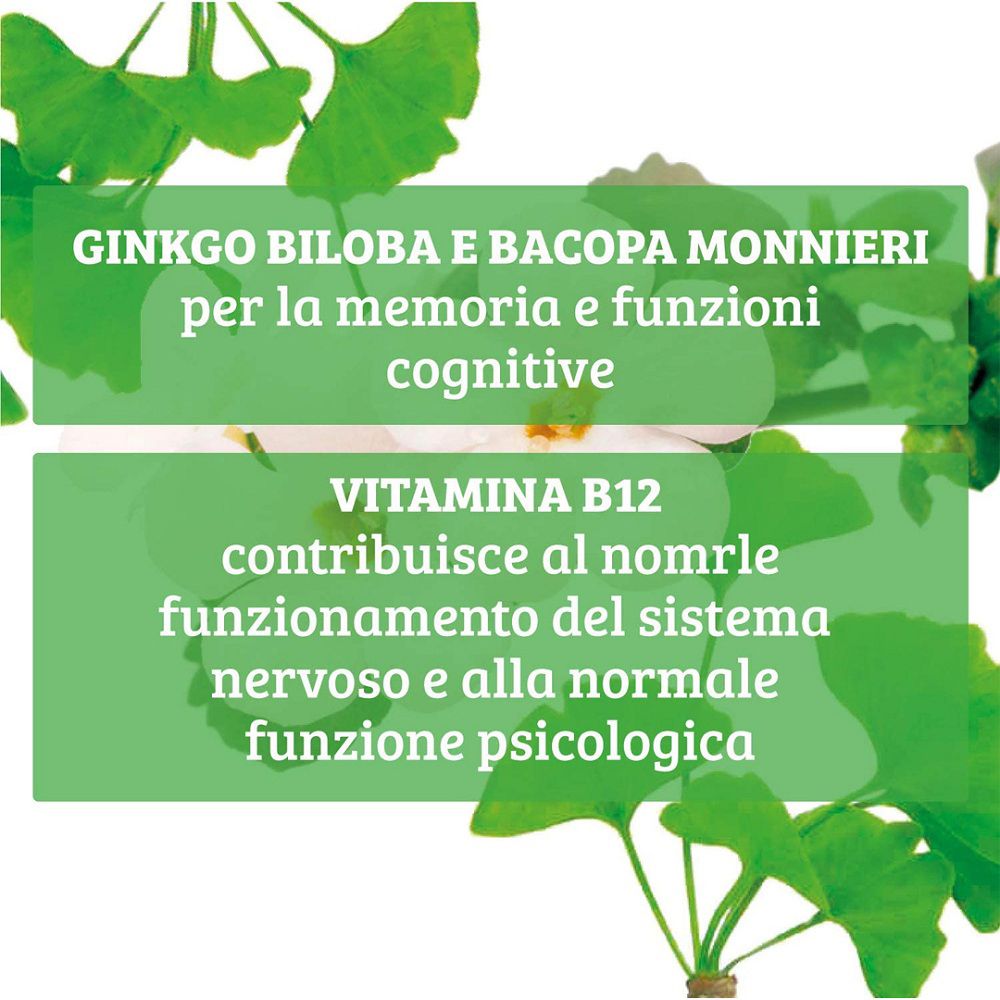 Ginkgo Biloba und Bacopa Monnieri für Gedächtnis und kognitive Funktionen.