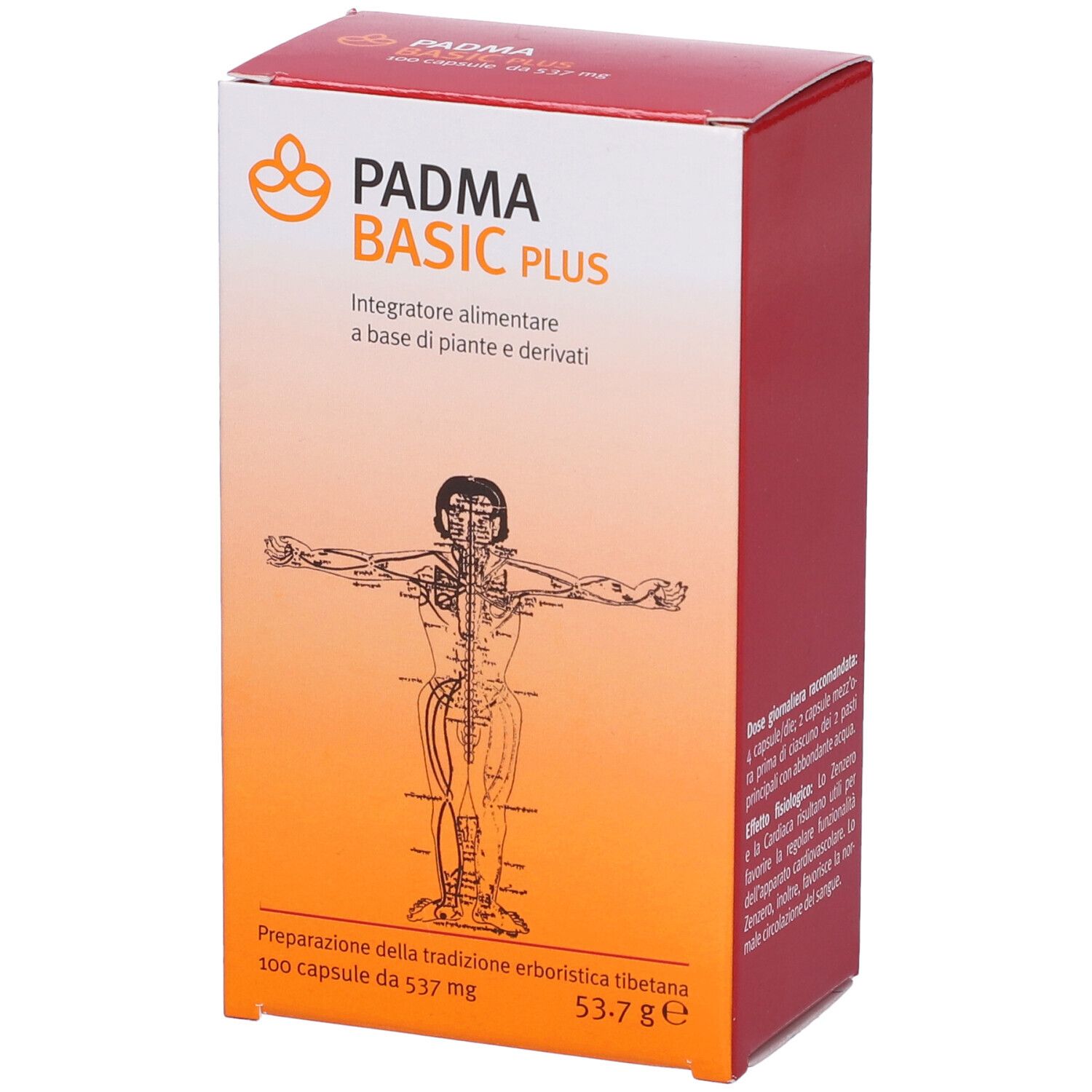 Confezione Padma Basic Plus. Scatola rossa e bianca con nome del prodotto e illustrazione di un corpo umano.