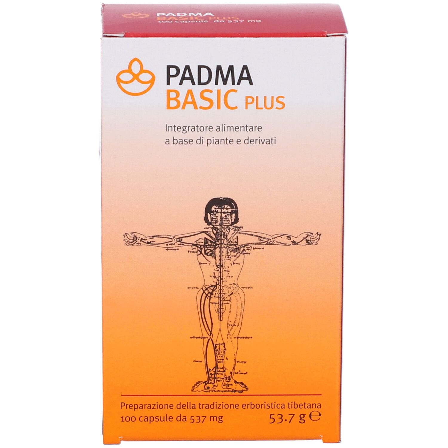 Confezione Padma Basic Plus. Scatola rossa e bianca con nome del prodotto e illustrazione di un corpo umano.