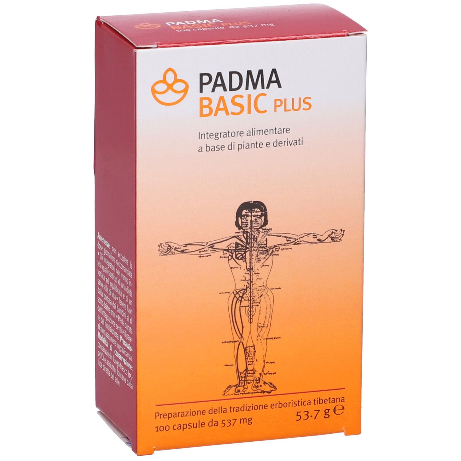 Confezione Padma Basic Plus. Scatola rossa e bianca con nome del prodotto e illustrazione di un corpo umano.