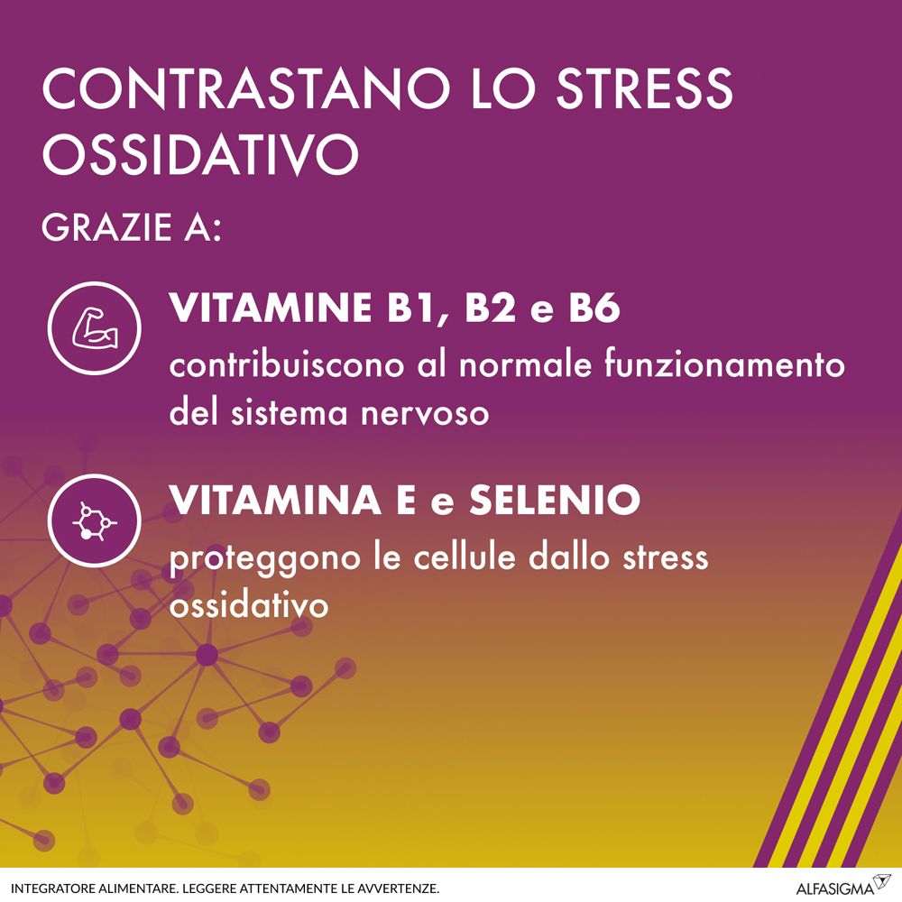 Grafik mit Text. ALAnerv ON-Informationen. Vitamine B1, B2, B6, E und Selen. Gegen oxidativen Stress.