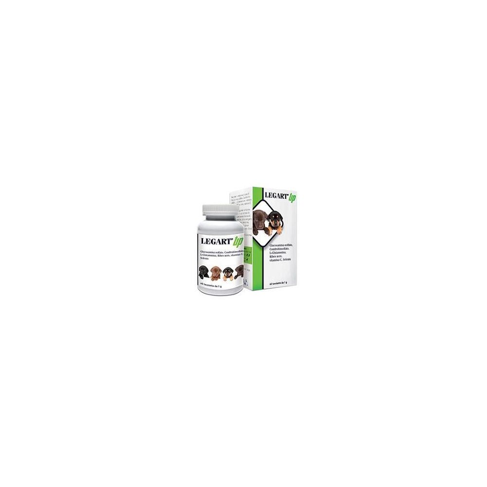 Legart UP 60Cpr 60 g Tabletten