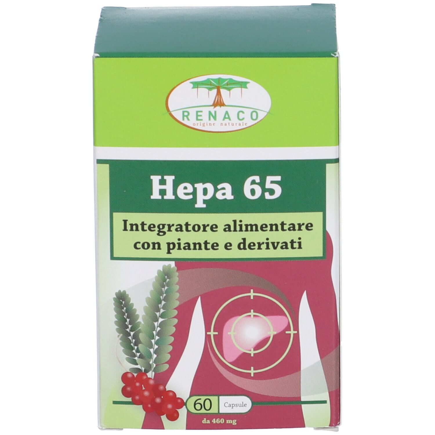 Scatola verde. Scritta Hepa 65. 60 capsule. Con piante e derivati. Illustrazione del fegato.