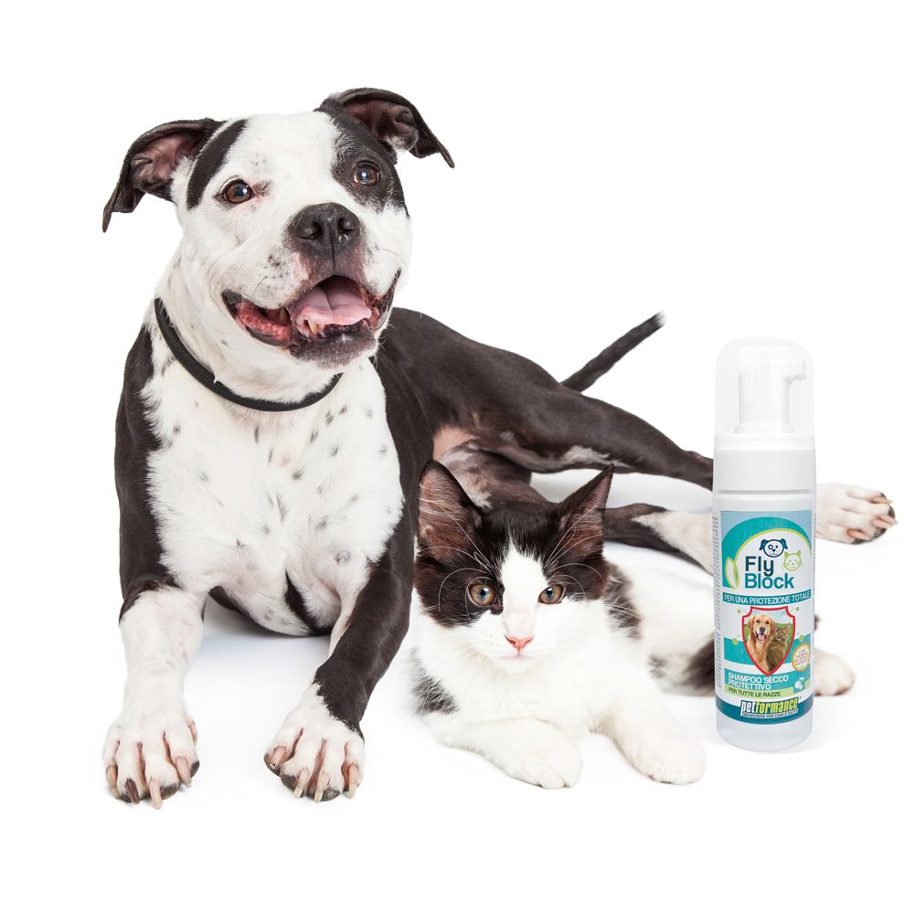 Un cane e un gatto accanto a un flacone bianco con erogatore spray. Scritta Fly Block, testo: Shampoo secco.