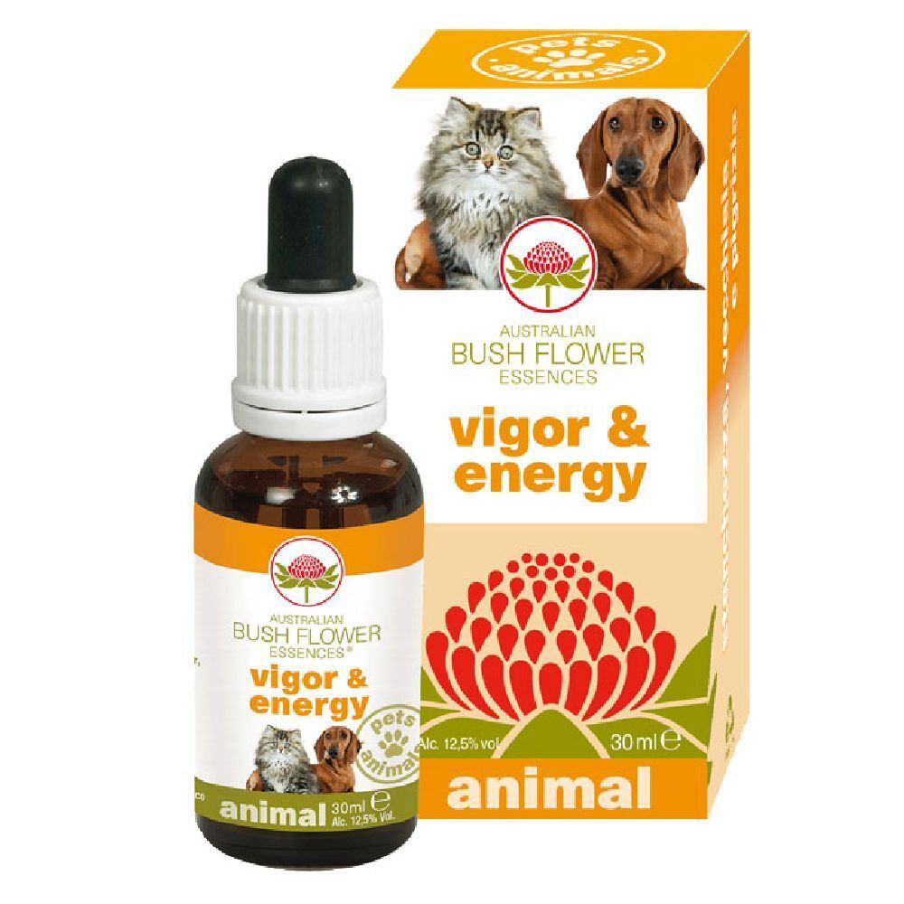 Flacone di vetro marrone con contagocce e confezione. Scritta: Vigor & Energy, 30 ml. Immagine di gatto e cane.