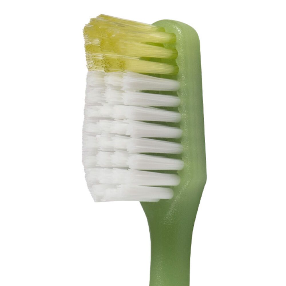 Primo piano della testina di uno spazzolino verde. Setole bianche e gialle. Manico verde.