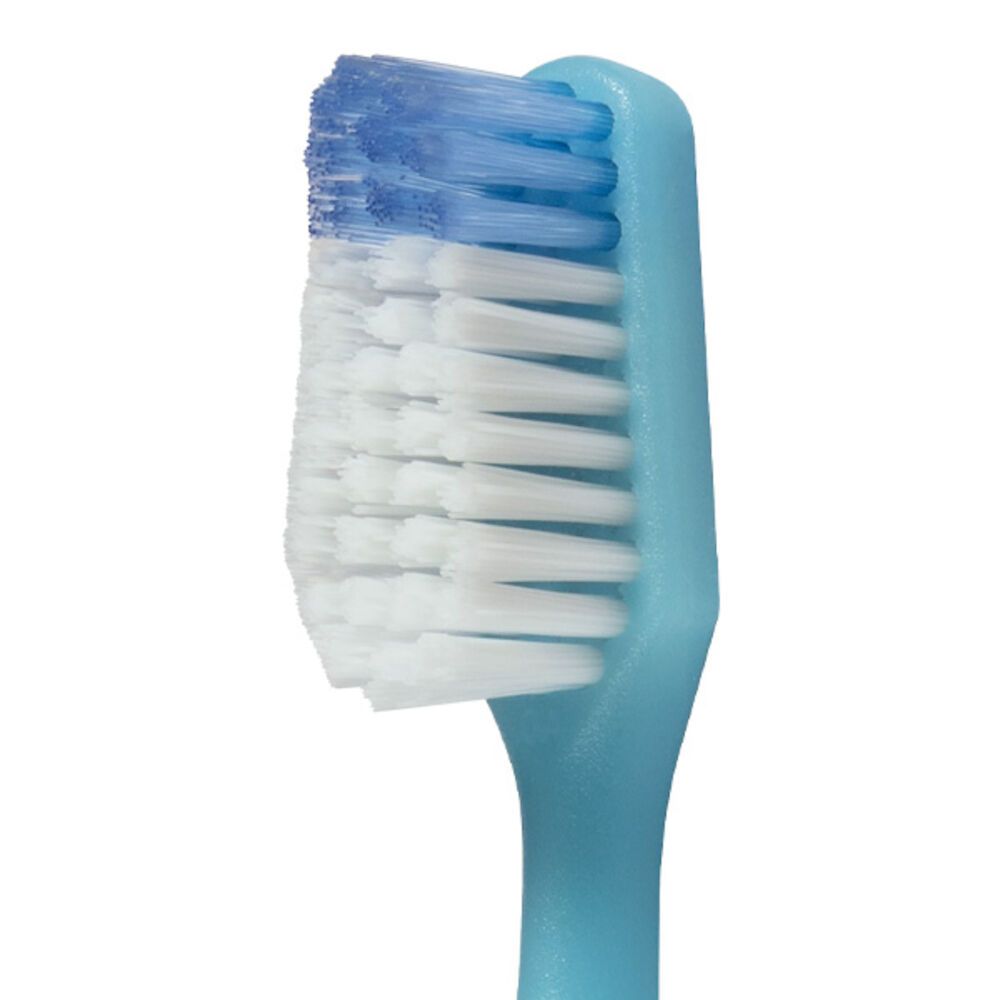 Primo piano della testina di uno spazzolino blu. Setole bianche e blu.
