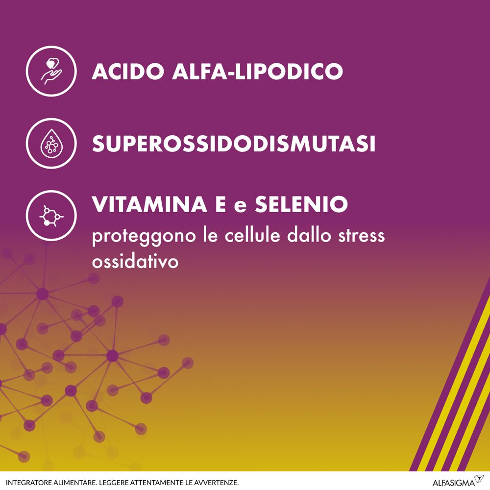 Grafica con tre simboli e testi: Acido alfa-lipoico, Superossido dismutasi, Vitamina E e Selenio.