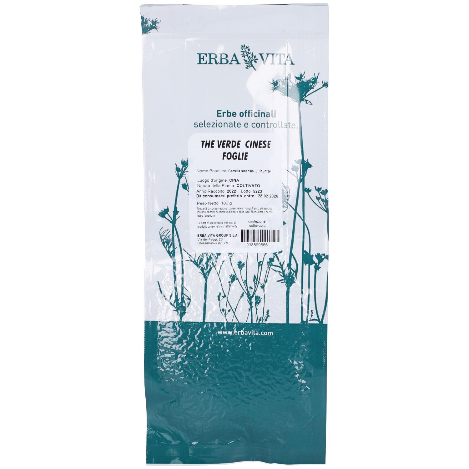 Erba Vita The Verde Cinese Foglie