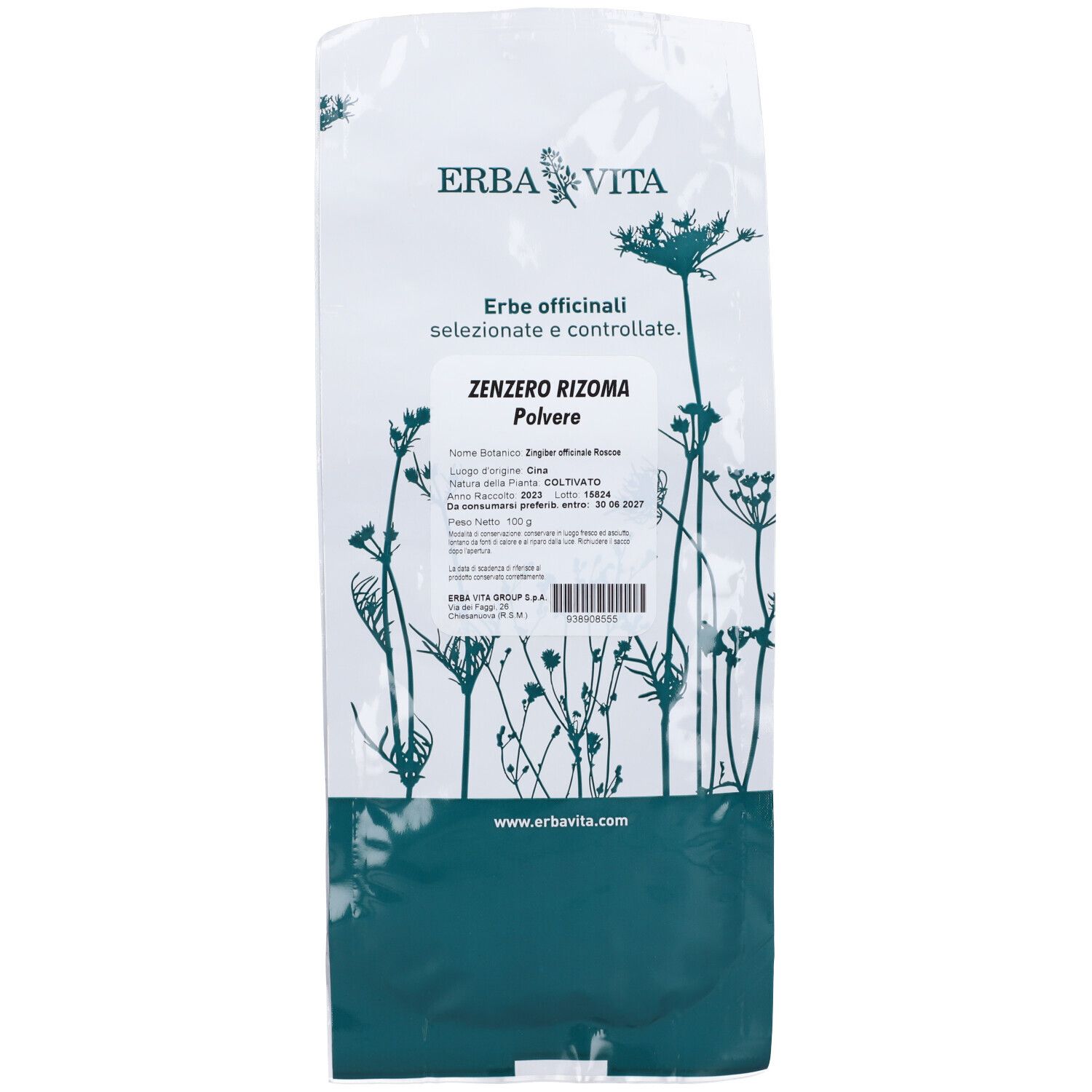 Zenzero Polvere Rizoma 100 G