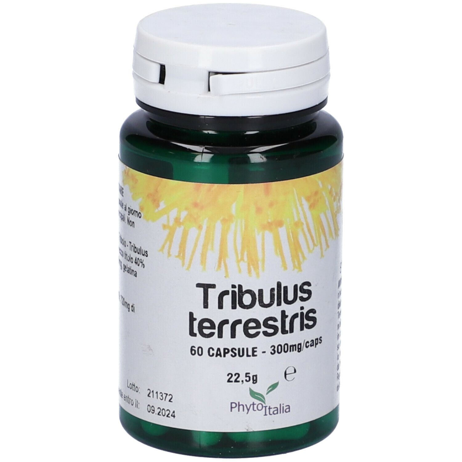 Tribulus Terrestris 60 Capsule