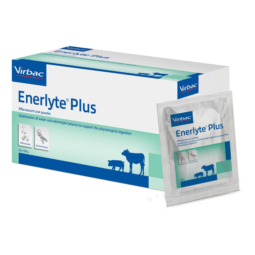 Enerlyte Plus Scatola 24 Buste Da 100 G