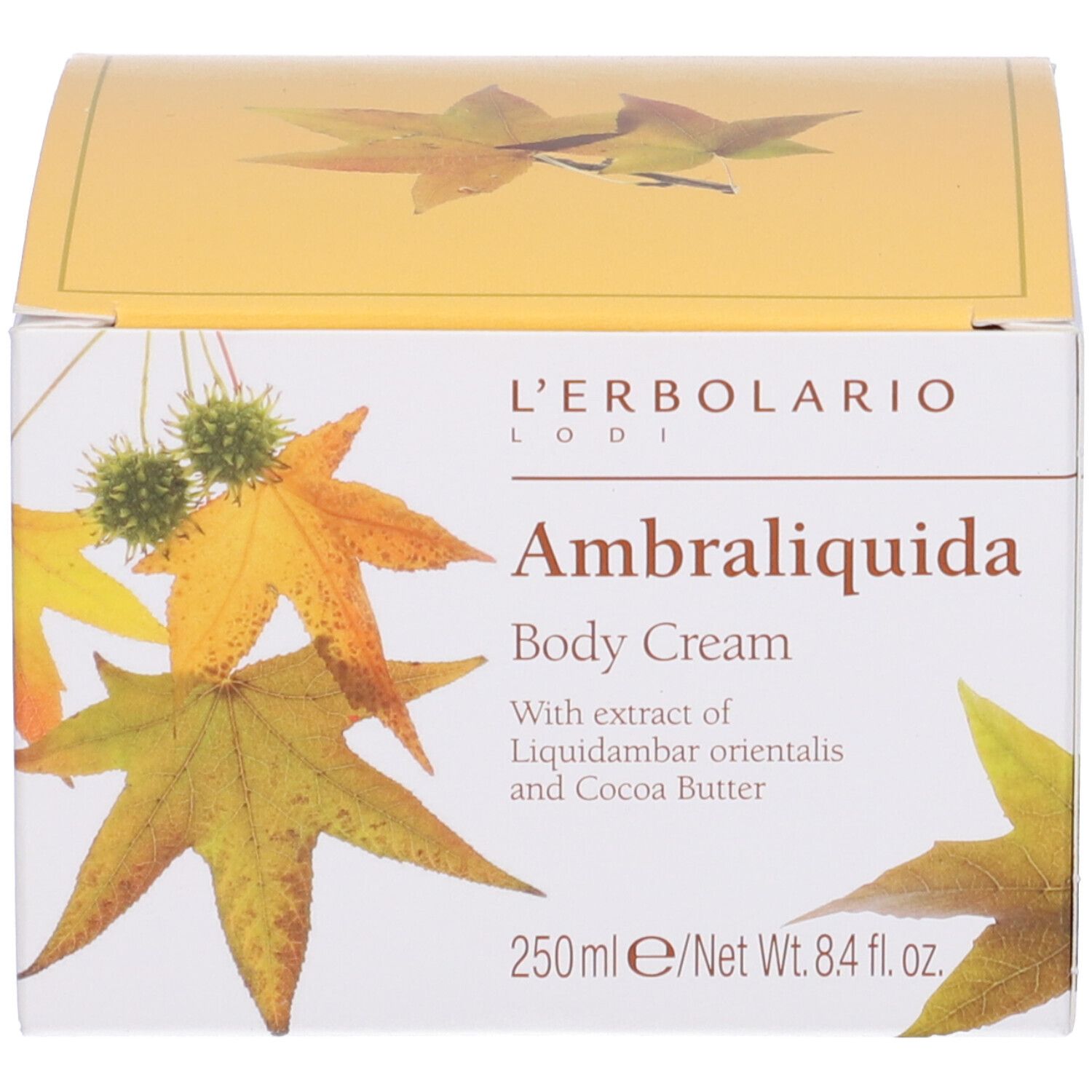 Verpackung. Aufschrift: Ambraliquida Body Cream. Mit Blättern und Früchten dekoriert. 250ml.
