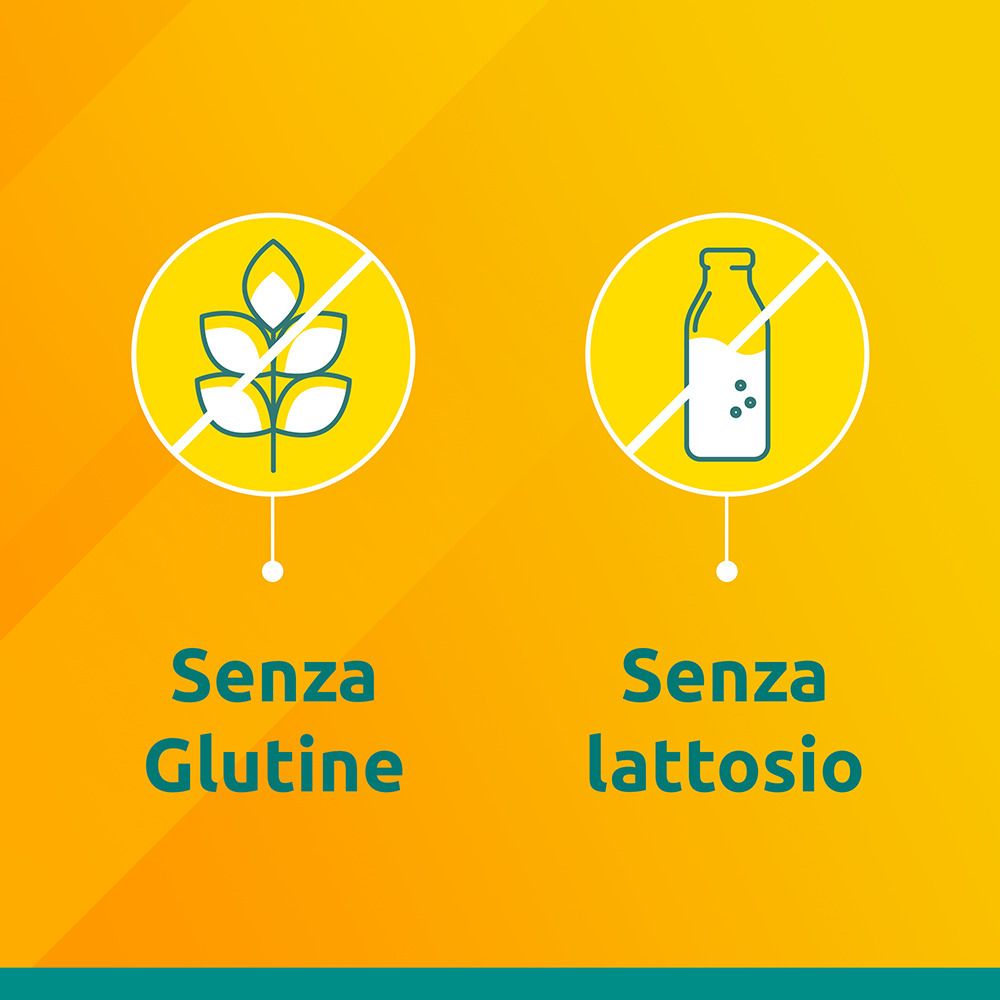 Symbole: Kein Gluten und keine Laktose. Text: Ohne Gluten, Ohne Laktose.