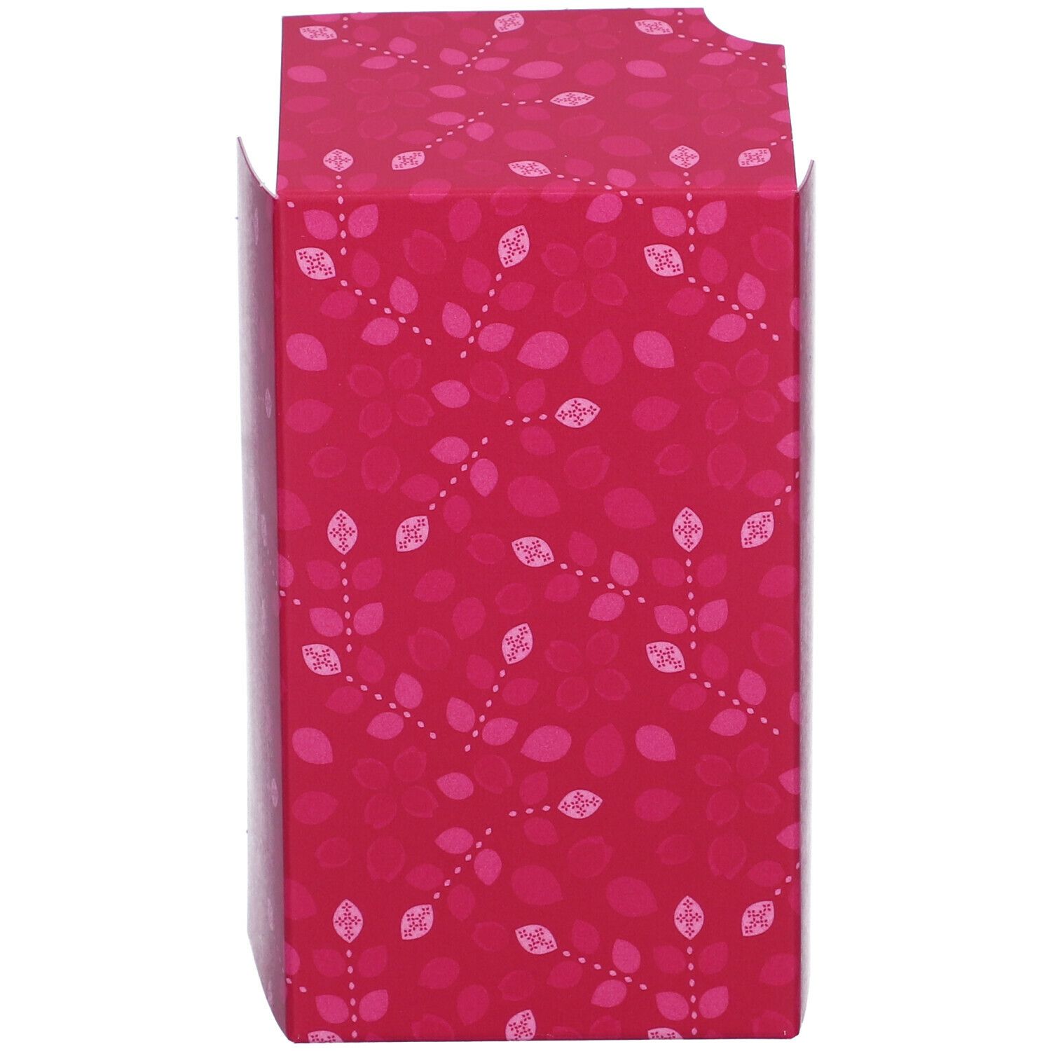 Confezione regalo chiusa. Motivo a foglie rosa. Forma rettangolare.