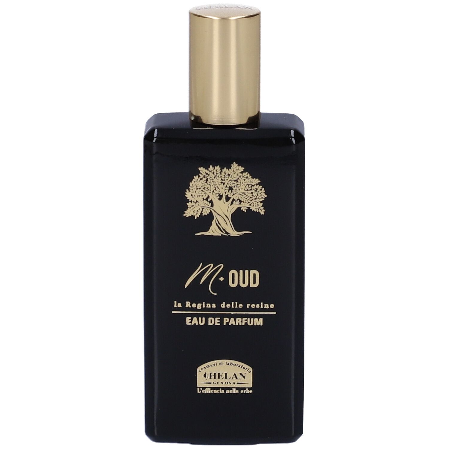 Schwarze Eau de Parfum Flasche mit goldenem Baum-Logo und Schriftzug 'M. Oud'.