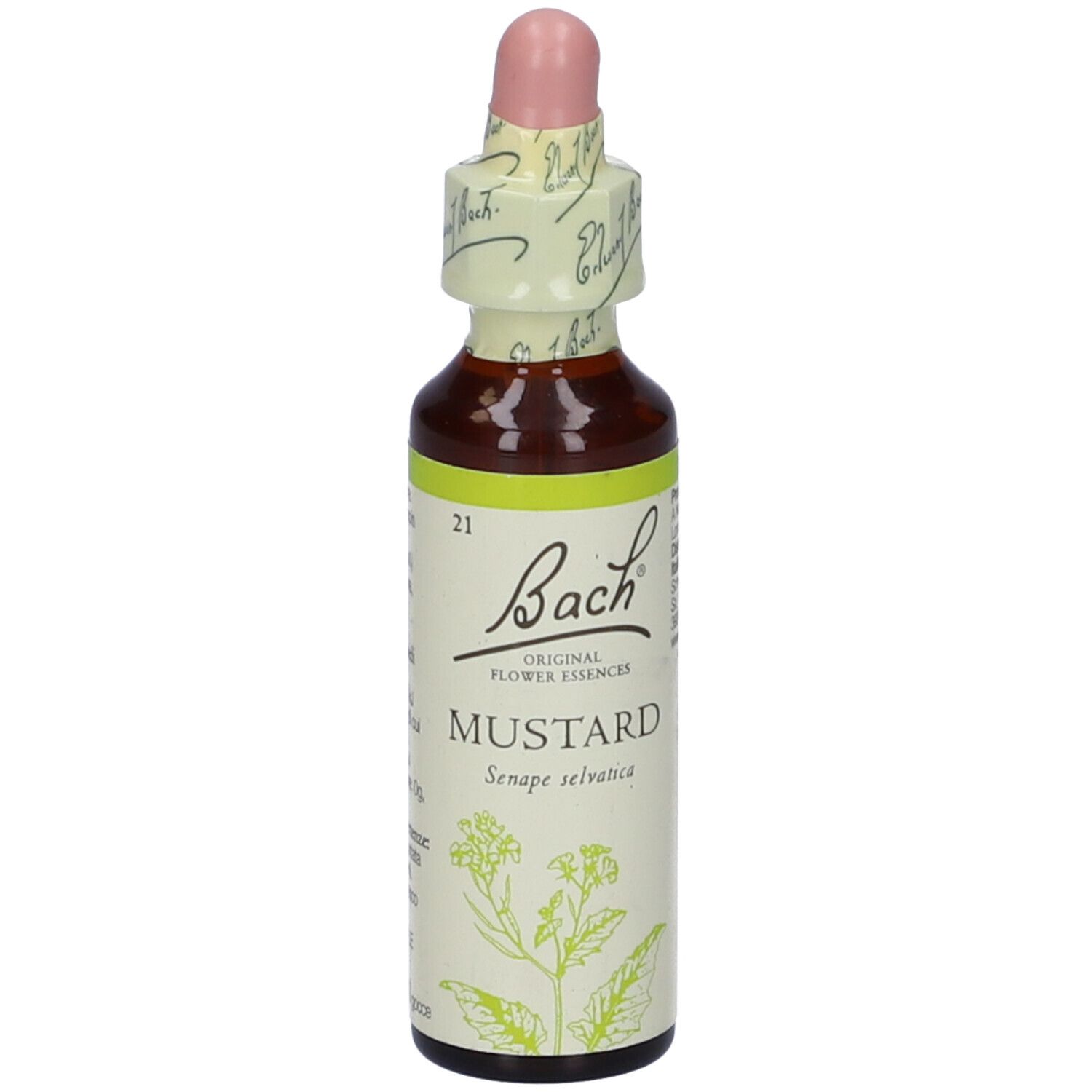 Flacone di vetro marrone con etichetta gialla e contagocce. Scritta: Bach Original Flower Essences Mustard. Sigillo.