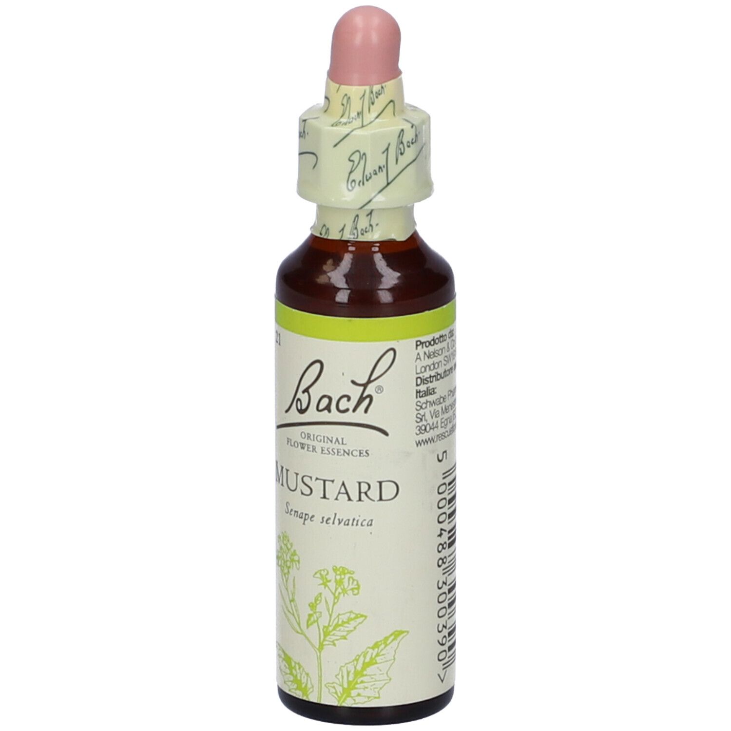 Flacone di vetro marrone con etichetta gialla e contagocce. Scritta: Bach Original Flower Essences Mustard. Sigillo.