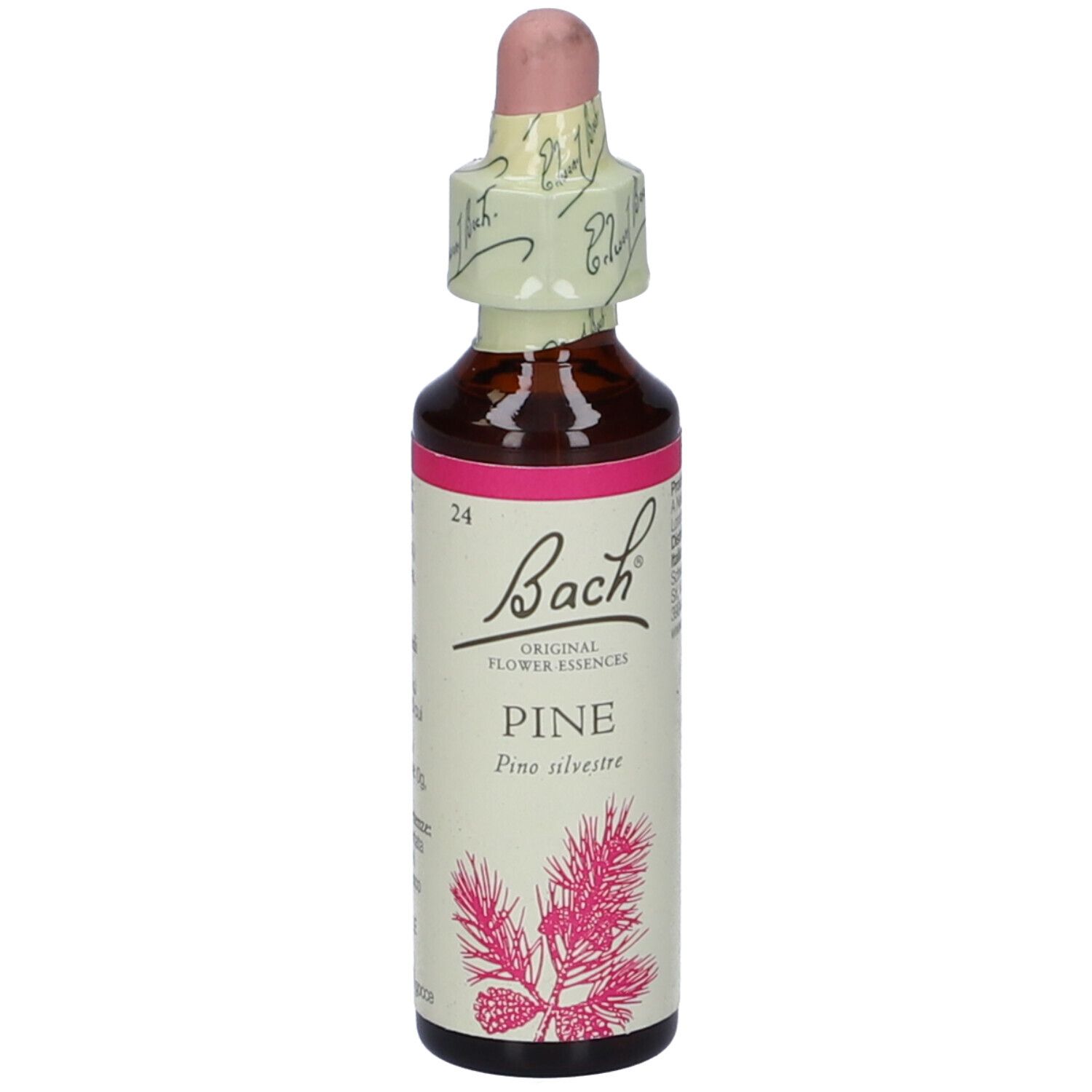Flacone di vetro marrone con etichetta rosa e contagocce. Scritta: Bach Original Flower Essences Pine. Con sigillo.