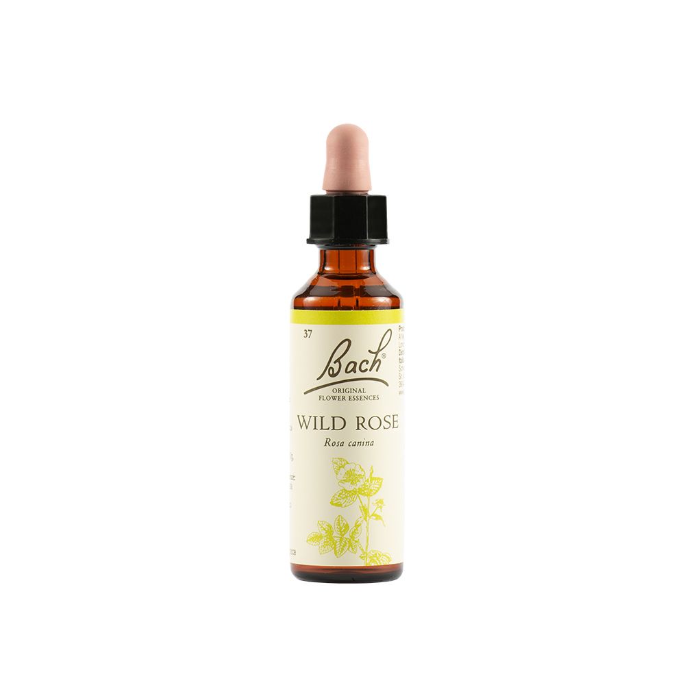 Flacone di vetro marrone con contagocce. Etichetta con "Bach", "Wild Rose" e illustrazione floreale.