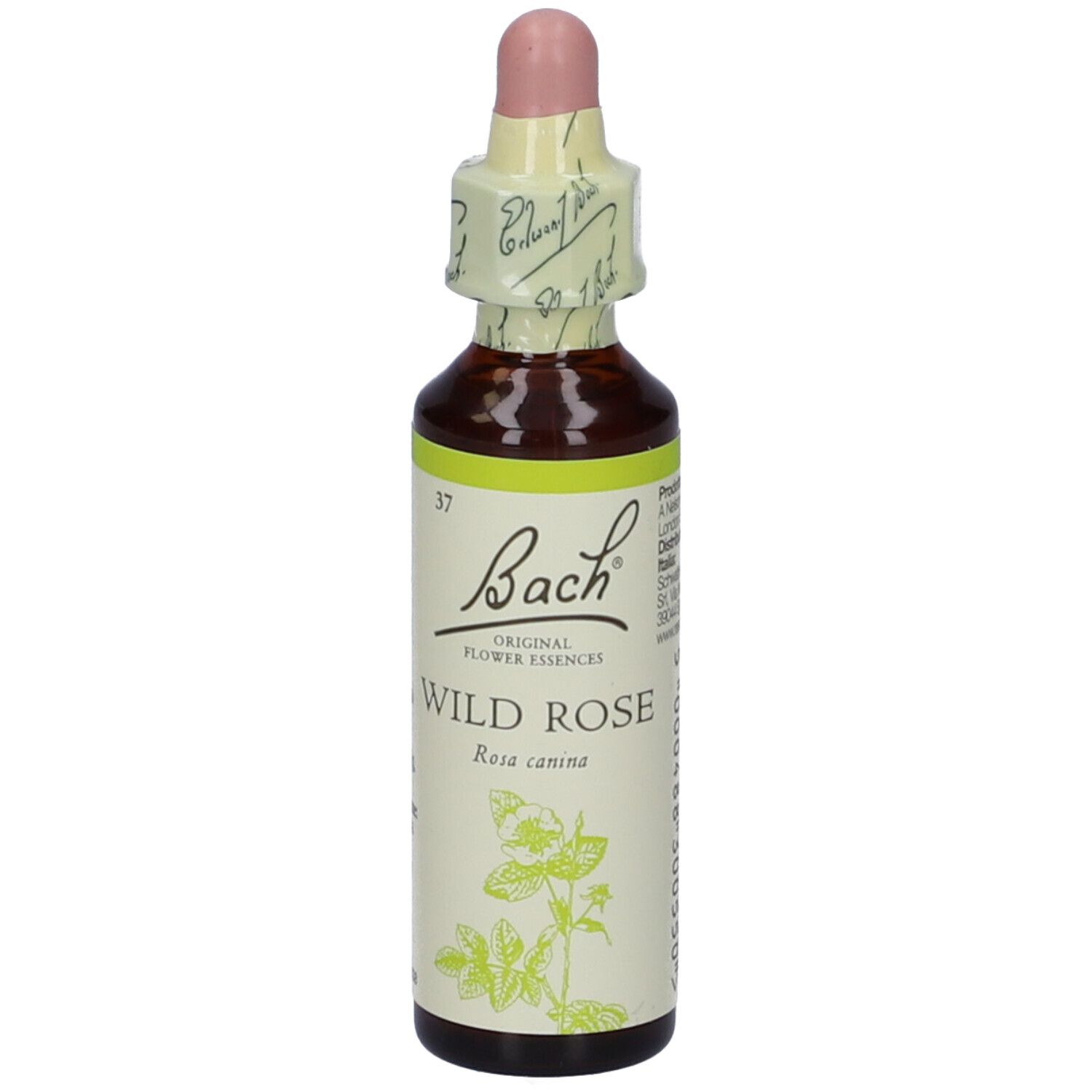 Flacone di vetro marrone con contagocce. Etichetta con "Bach", "Wild Rose" e illustrazione floreale. Chiusura in carta.
