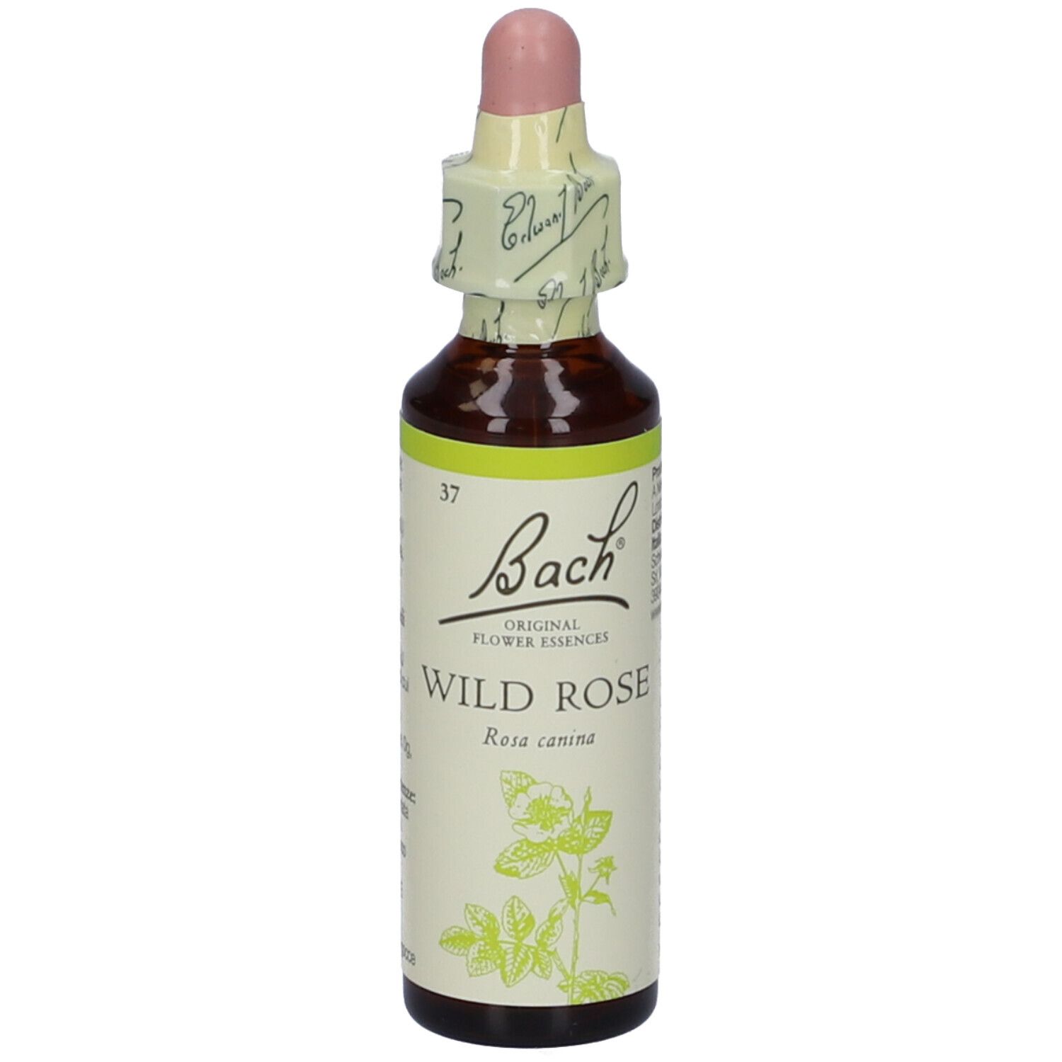 Flacone di vetro marrone con contagocce. Etichetta con "Bach", "Wild Rose" e illustrazione floreale. Dettaglio ingredienti.