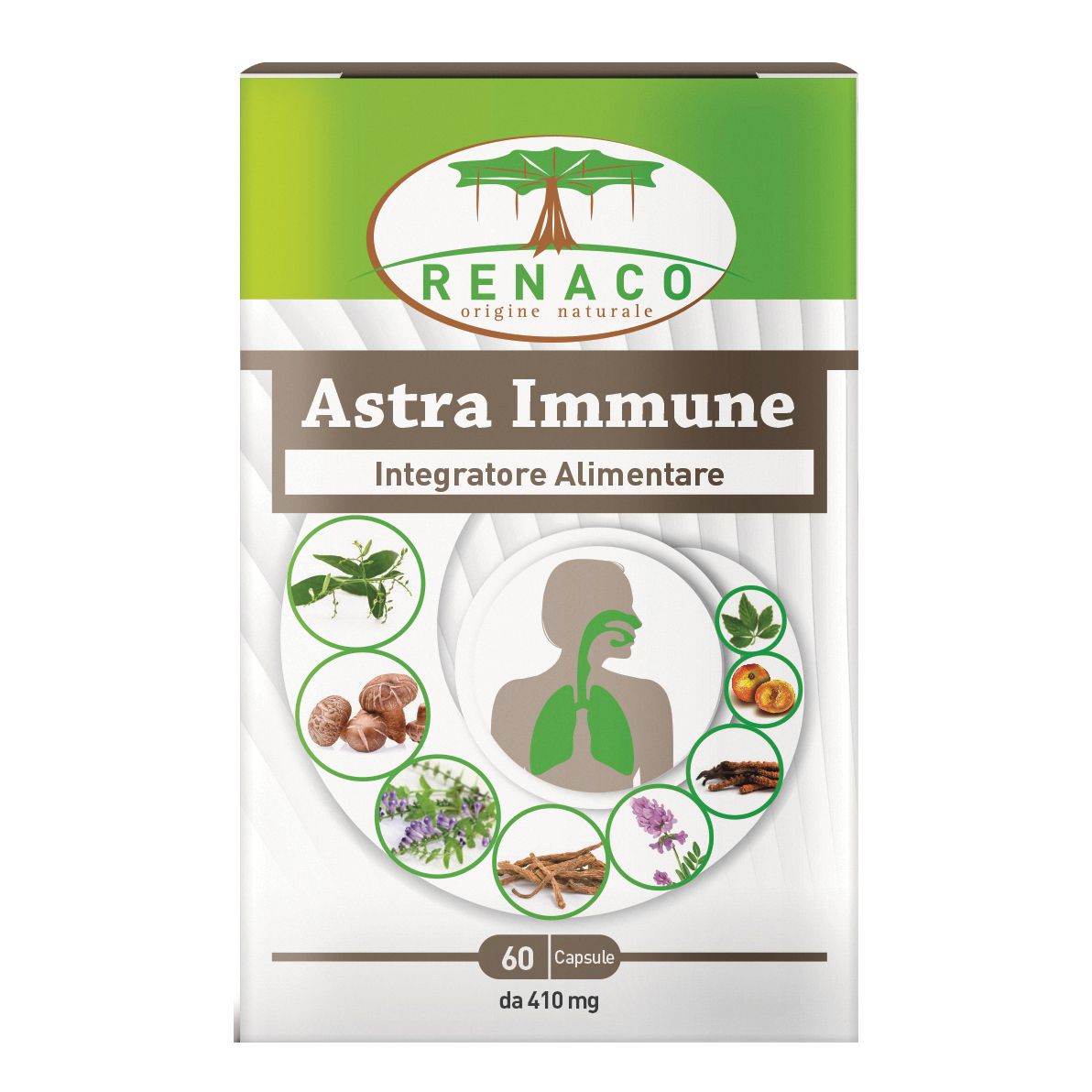 Scatola di capsule "Renaco Astra Immune". Design verde e bianco con nome del prodotto e illustrazioni di erbe e una persona.