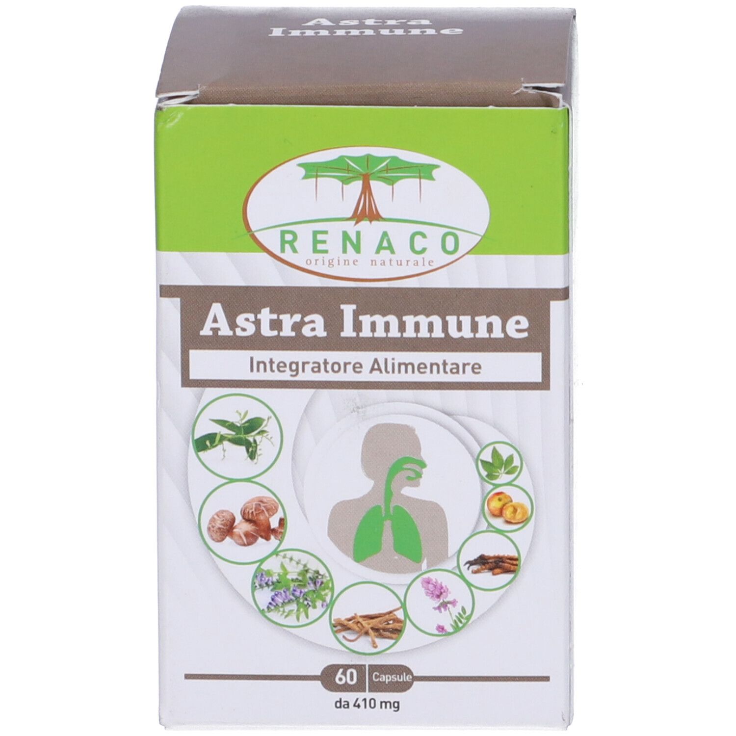 Scatola "Renaco Astra Immune". Design verde e bianco con nome del prodotto e illustrazioni di erbe e una persona.