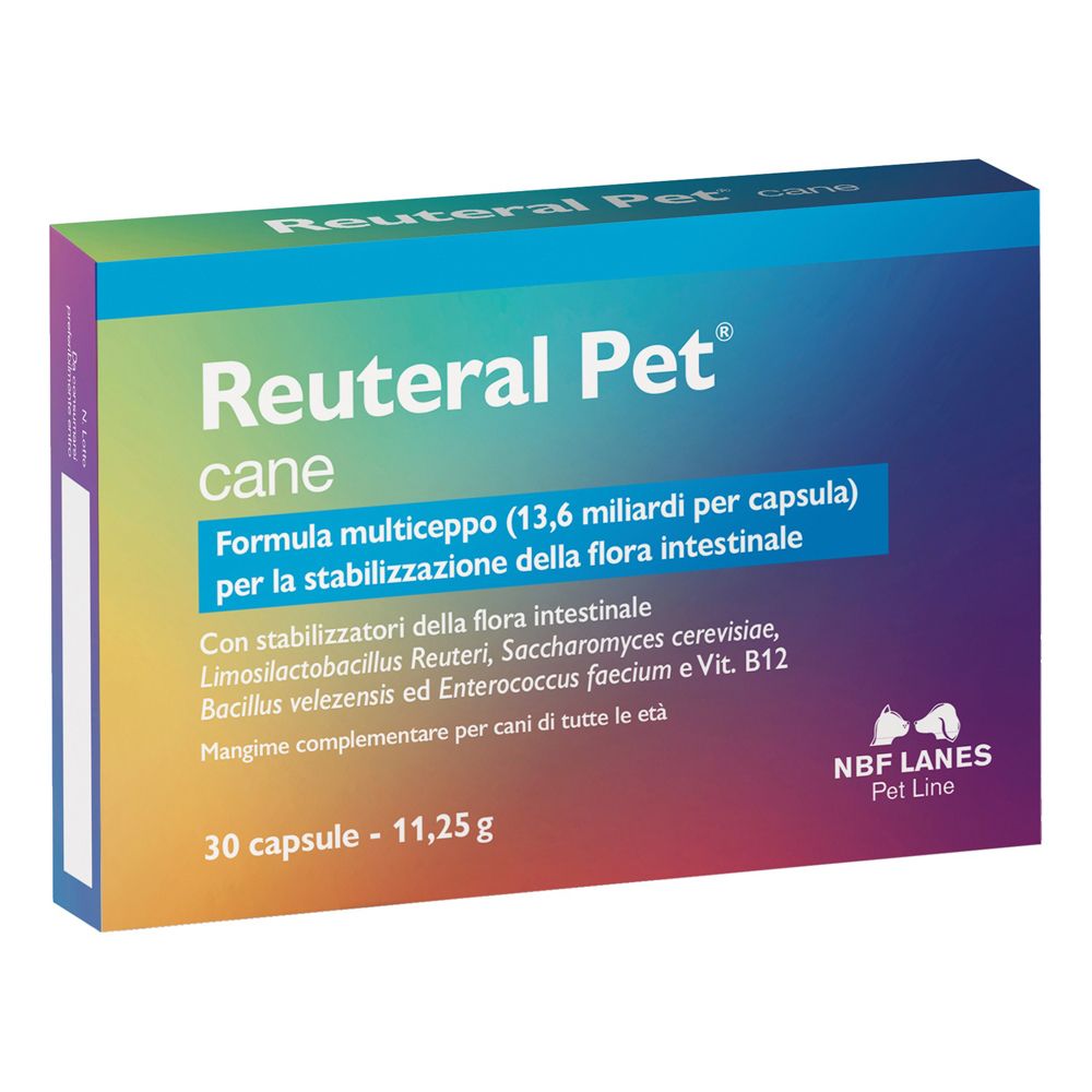 Reuteral PET Cane 30Cps 1 St Kapseln