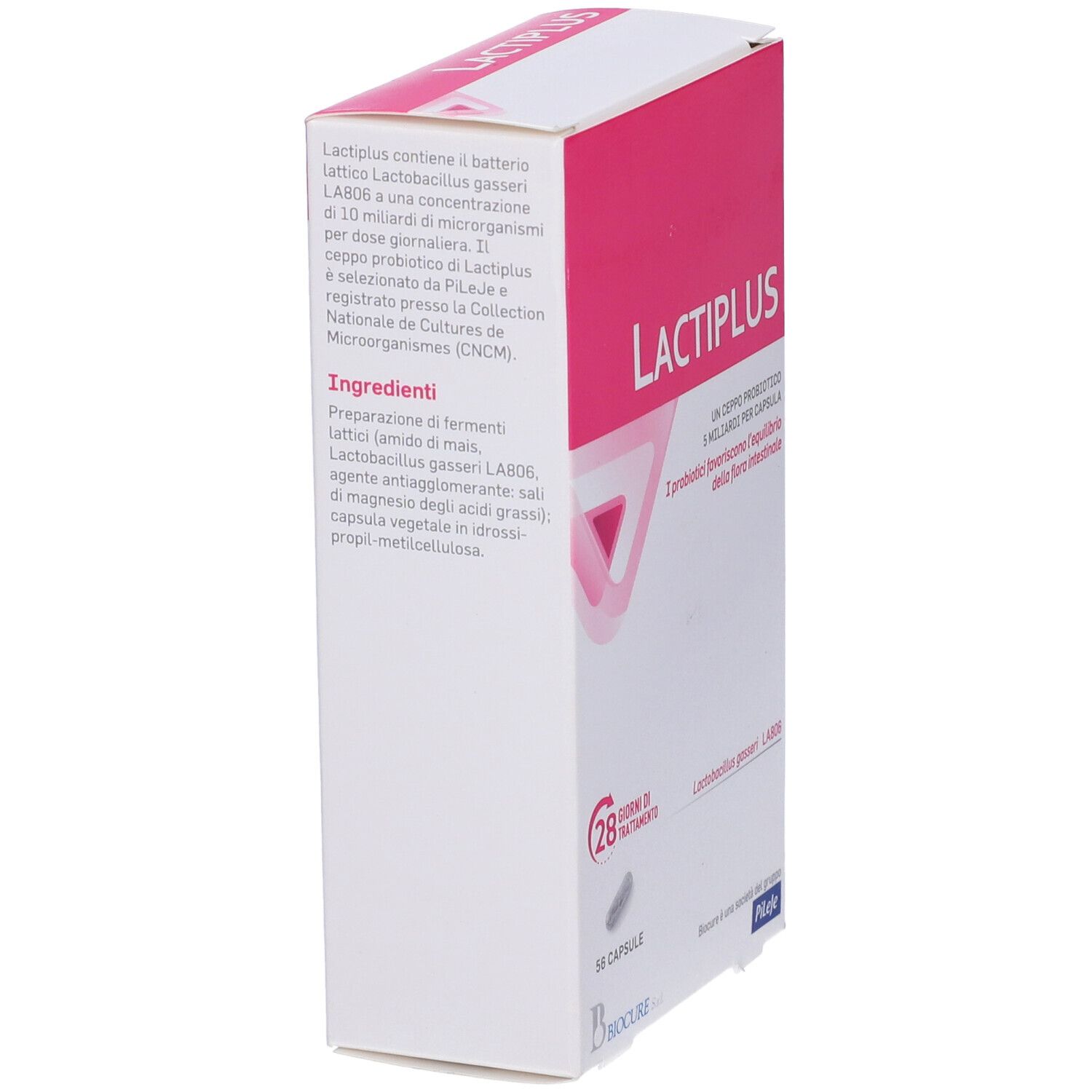 Confezione Lactiplus. Scatola rosa e bianca con informazioni sul prodotto. Ingredienti e informazioni sui batteri. Logo.