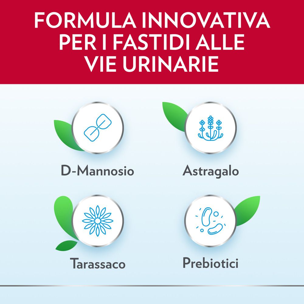 Grafik mit vier Kreisen. Text: D-Mannose, Astragalus, Tarassaco, Präbiotika. Grüne Blätter.