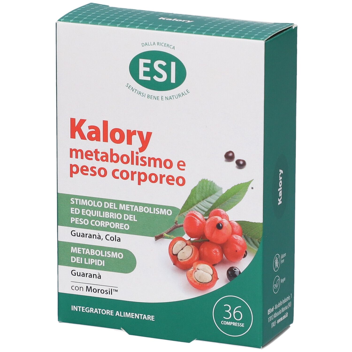 Esi Kalory Metabolismo E Peso Corporeo Compresse