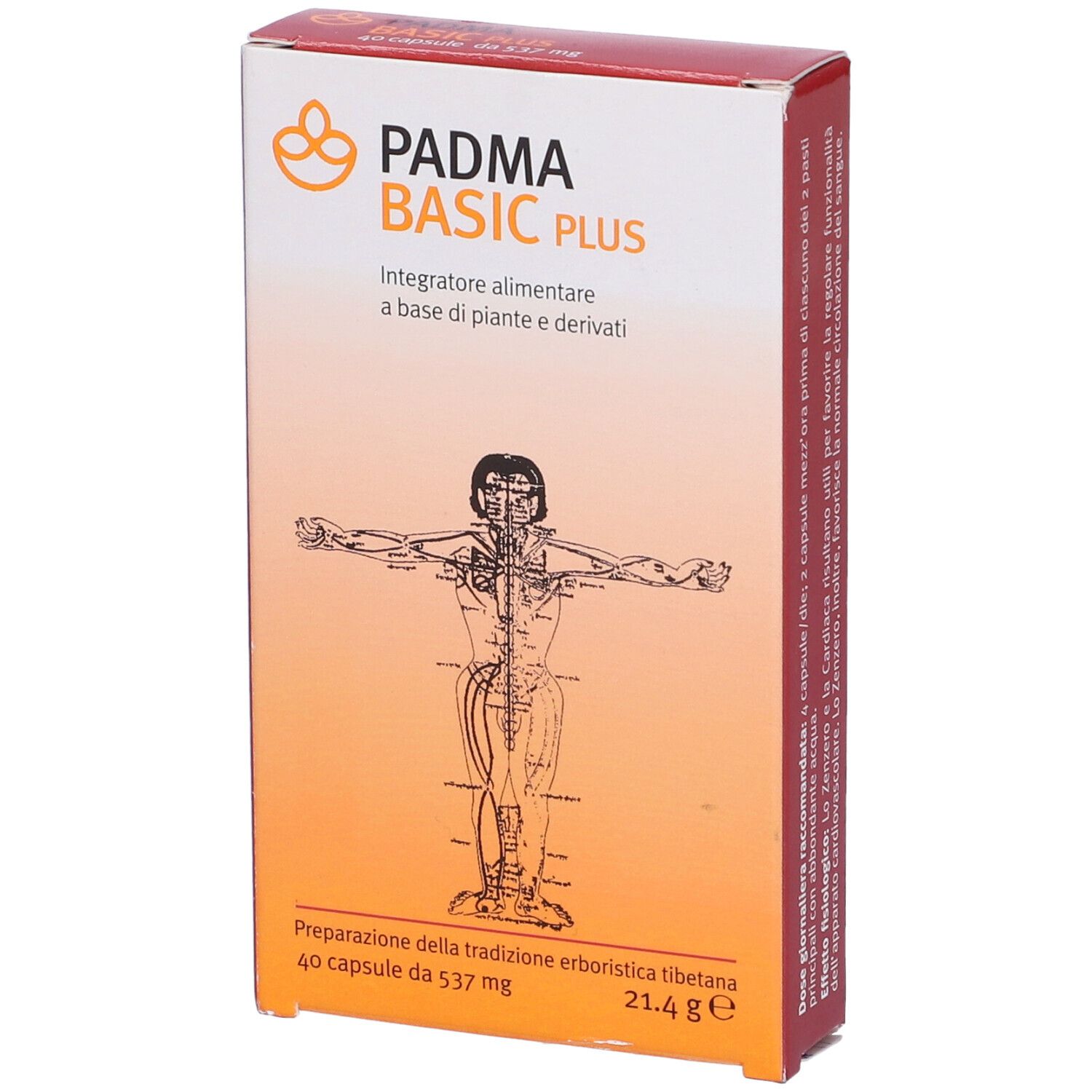 Confezione di Padma Basic Plus. Scritta: Padma Basic Plus, 40 capsule, 21,4 g. Illustrazione di un corpo umano.