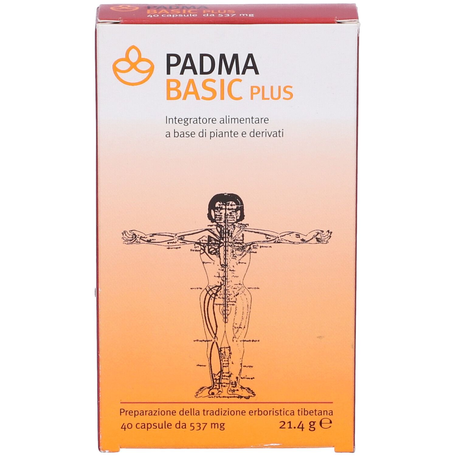 Confezione di Padma Basic Plus. Scritta: Padma Basic Plus, 40 capsule, 21,4 g. Illustrazione di un corpo umano.