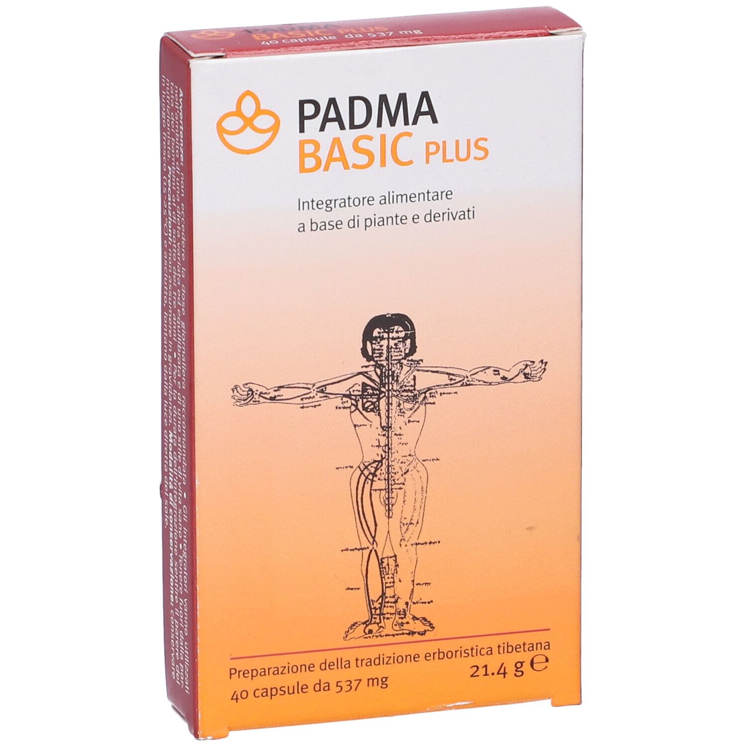 Confezione di Padma Basic Plus. Scritta: Padma Basic Plus, 40 capsule, 21,4 g. Illustrazione di un corpo umano.