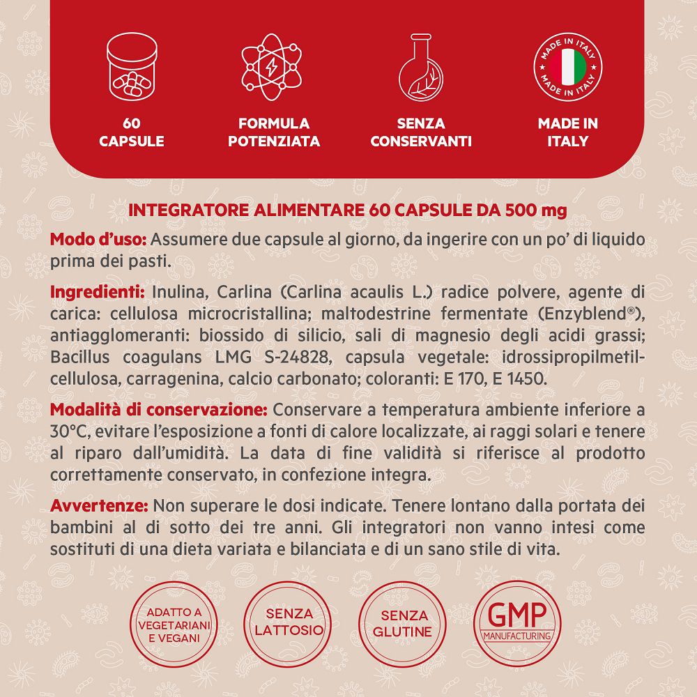 Rückseite einer Provida® Dose: 60 Kapseln, potente Formel, ohne Konservierungsstoffe, Made in Italy.