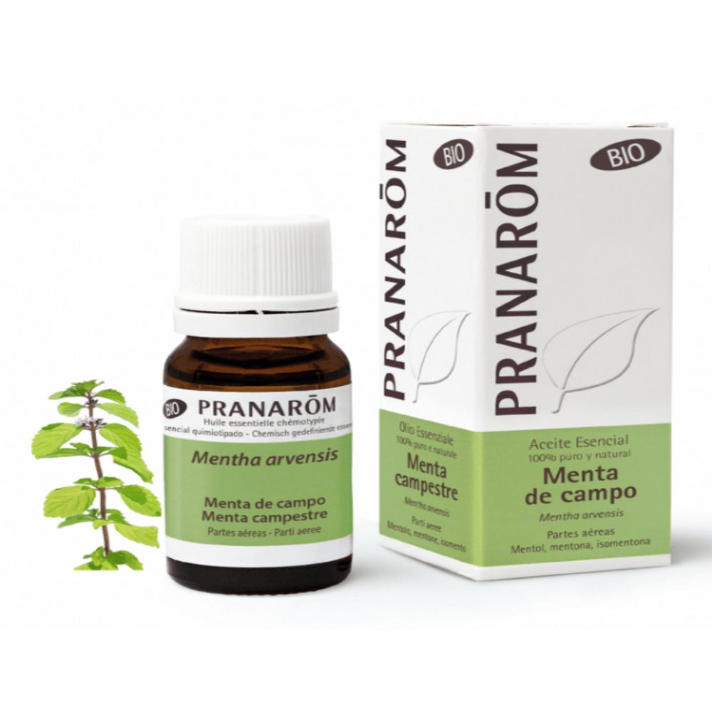 Pranarom Olio Essenziale Menta Campestre Parti Aeree