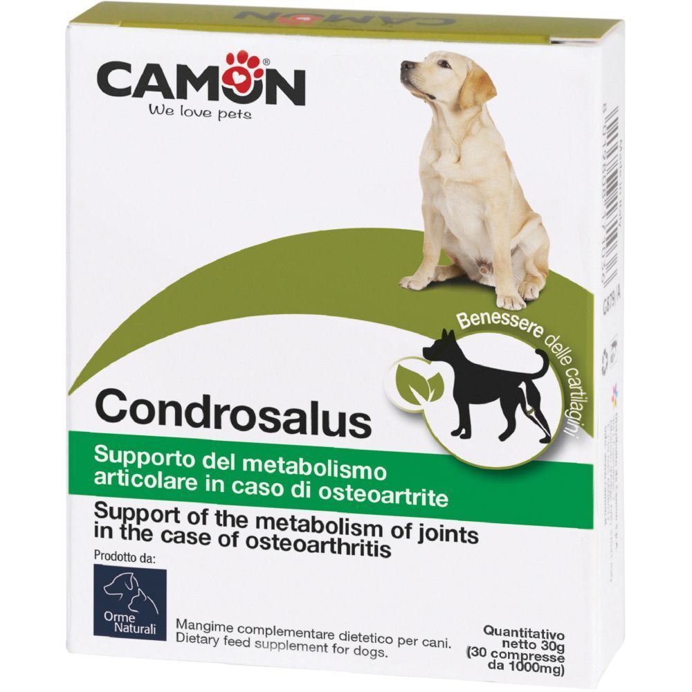 Confezione Condrosalus. Logo Camon, immagine di cane. Testo: Supporto del metabolismo articolare in caso di osteoartrite. Integratore.